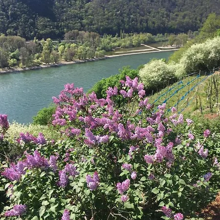 ホテル Berg's Backpacker