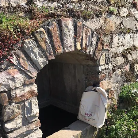 Berg's Backpacker * リューデスハイム・アム・ライン