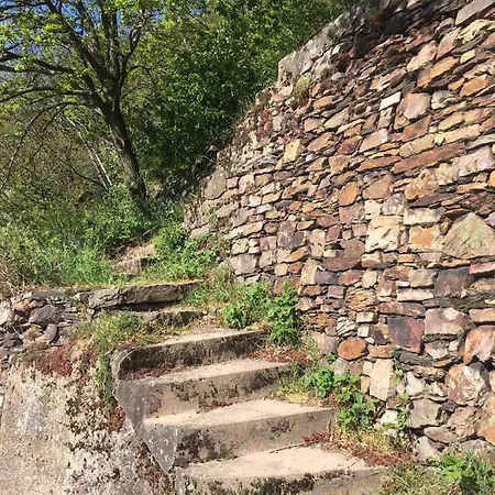 ホテル Berg's Backpacker