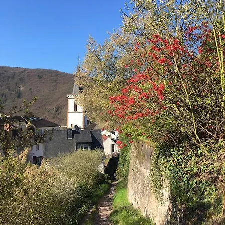 ホテル Berg's Backpacker リューデスハイム・アム・ライン