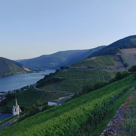 Berg´s Backpacker Hotel Rüdesheim am Rhein