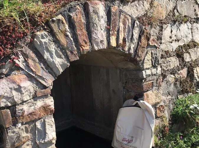 Berg's Backpacker * Rüdesheim am Rhein