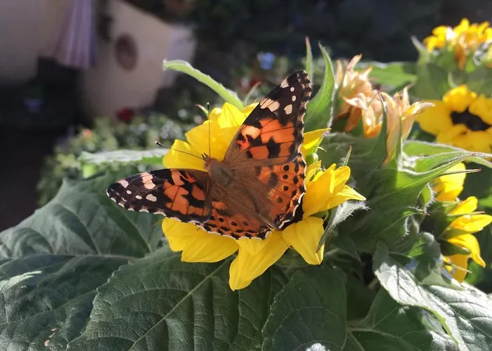 Berg's Backpacker Hotel