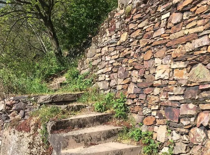 Hotel Berg's Backpacker